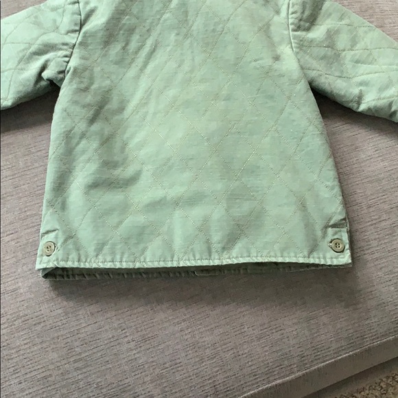 Absorba - Picture 5 of 8